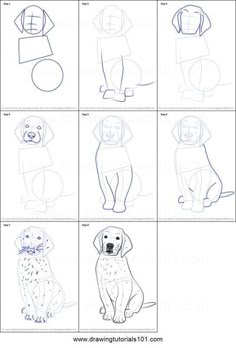 step by step instructions to draw a dog