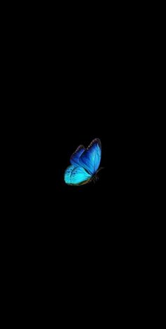 a blue butterfly flying in the dark with its wings spread out and it's eyes open