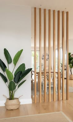 a plant in a pot sitting on top of a wooden floor next to a white wall