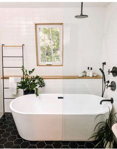 a white bath tub sitting under a window next to a plant in a bathroom sink