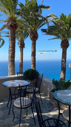 tables and chairs are set up on the patio overlooking the ocean in front of palm trees