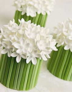 some white flowers are sitting next to each other