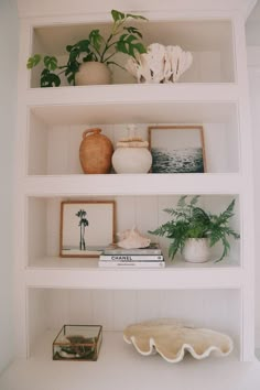 a white shelf filled with vases and plants