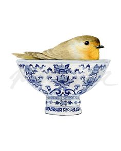 a bird sitting on top of a blue and white bowl