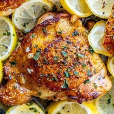 chicken with lemons and parsley on the side, ready to be cooked in the oven