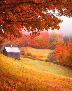 a barn in the middle of a field surrounded by trees with fall foliage on it