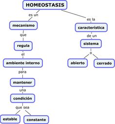 a diagram with the words homoostas and other things in each language on it