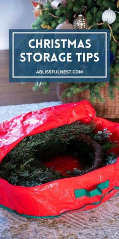 a christmas storage bag sitting on top of a table next to a potted tree