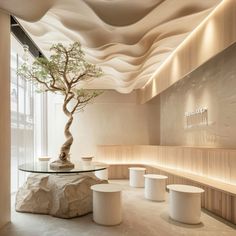 a bonsai tree sits on top of a table in the middle of a room