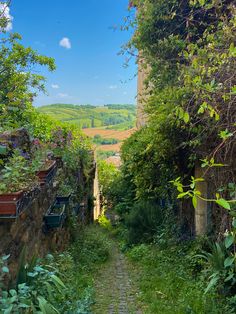 an alley way in the countryside with lots of greenery