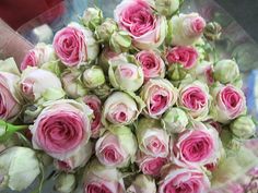 a bouquet of pink roses is being held by someone