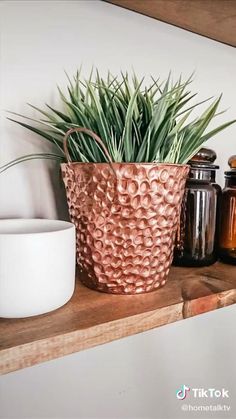 some plants are sitting on a shelf next to jars