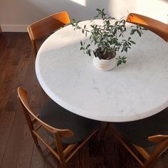 a white table topped with a potted plant on top of a hard wood floor