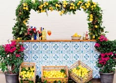 lemons and other fruit are on display in front of a table with an arch