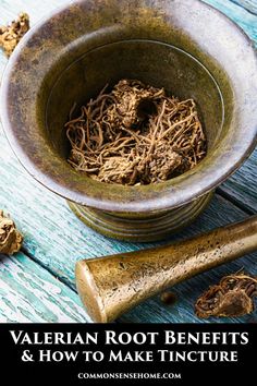 Valerian root is a relaxing herb with a normalizing effect on the nervous system. We share tips on foraging, growing, use, & contraindications Valerian Root Benefits, Loosen Muscles, Valerian Root, Tension Headache, Earthy Scent, The Nervous System, Valerian, Homemade Remedies, Long History