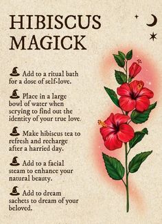 Glamour Magick Herbs, Plant Magick, Glamour Magick, Herbal Witch, Candle Magic Spells, Kitchen Witch Recipes, Witch Rituals