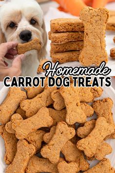 a white dog is eating some carrot treats with the caption homemade carrot dog treats