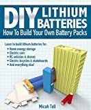 the book cover for diy lithium batteries how to build your own battery packs