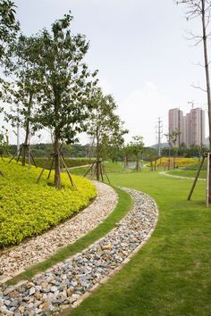 a grassy area with rocks and trees in the foreground, surrounded by tall buildings