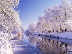 a river surrounded by snow covered trees next to a forest