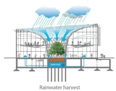 diagram of rainwater harvesting system in an office building