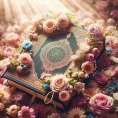 an open book surrounded by flowers and pearls on a bed of daisies with the sun shining down