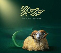 a ram is sitting in front of the eid adha mubarak logo