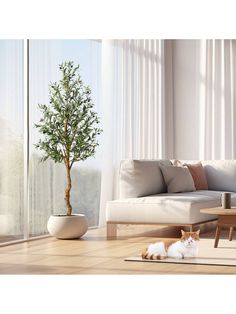 a cat laying on the floor in front of a couch and coffee table next to a window