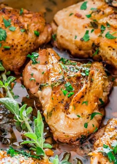 close up of chicken with herbs on the side and garnished in parsley