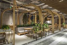 an empty restaurant with tables and chairs, potted plants on the wall behind them