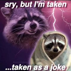 a raccoon wearing a robe and another raccoon with a lightning in the background