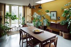 a dining room with yellow walls and lots of potted plants on the table in front of it