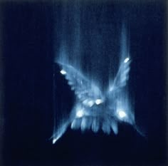 a blurry image of a bird flying in the air with its wings spread out