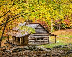 an old log cabin in the woods surrounded by fall foliage and trees with yellow leaves