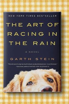 the book cover for the art of racing in the rain