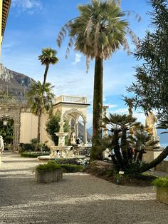 a palm tree in front of a building with a fountain and statues on the ground