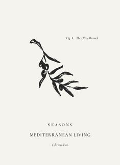 the cover of season's mediterraneanan living, with an olive branch drawn on it