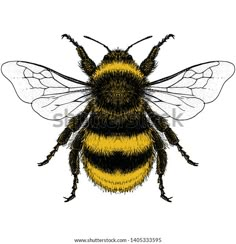 a drawing of a bee on a white background