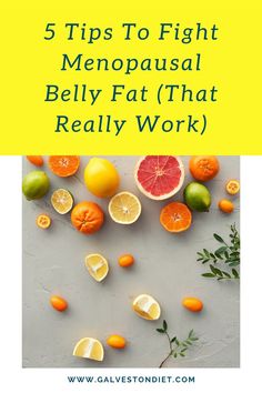 Peri Menaupose Diet, Perimenopausal Recipes, Menaposal Belly Diet, Perimenaupose Diet, Perimenopausal Diet Plan, Menopausal Belly, The Galveston Diet, Low Cal Diet, Galveston Diet