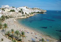 an aerial view of a beach with palm trees and buildings in the background, along with clear blue water