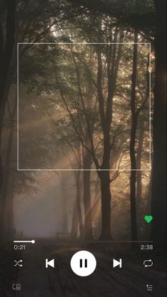 the screen is showing an image of trees and fog in the background, with light coming through