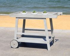 two potted plants sitting on top of a wooden table near the water's edge