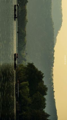 people are standing on the edge of a body of water with trees in the background