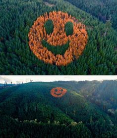 two pictures with trees in the shape of smiley faces, one is made out of leaves