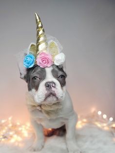 a small dog wearing a unicorn hat with flowers on it's head and lights in the background