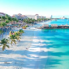 an aerial view of a beach with palm trees