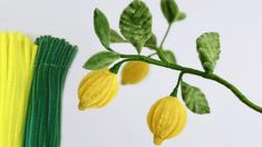 a plant with yellow flowers and green leaves next to some colored straws on a white surface