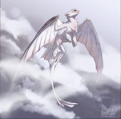 a white bird flying through the air on top of clouds