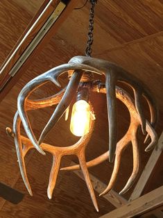 an antler lamp hanging from the ceiling