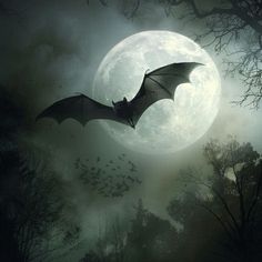 a bat flying in front of a full moon